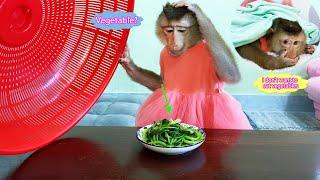 Monkey Lyly pretended to sleep because she didn't like the vegetables her mother had prepared.