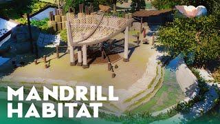 Mandrill Habitat - Yosemite Valley - Planet Zoo Sandbox Zoo