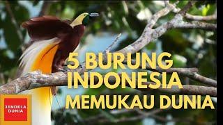 CANTIK‼️INILAH 5 BURUNG KHAS INDONESIA MEMIKAT DUNIA