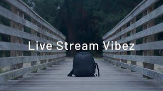 JusTBWise - LiveStream Vibez (Test)