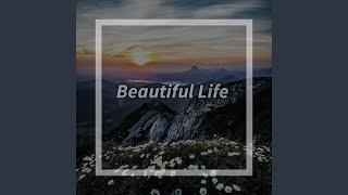 Beautiful Life