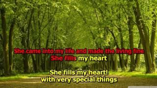 Where Do I Begin - (HD Karaoke) Andy Williams