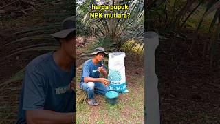 segini harga pupuk NPK mutiara 16 16 16 merek meroke//petani sawit sukses #petaniindonesia #sawit