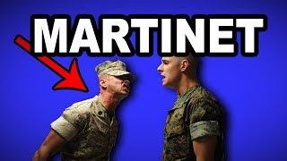 Learn English Words - MARTINET - Meaning, Vocabulary with Pictures and Examples