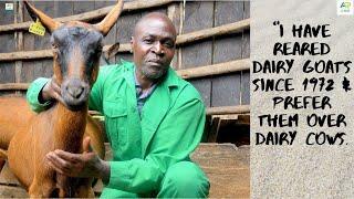 I enjoy dairy goat farming, the nutrient dense milk sells at a premium & their feeds are affordable.