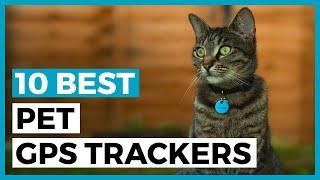 Best Pet Gps Trackers in 2024 - How to find a Tracker for Your Pets?