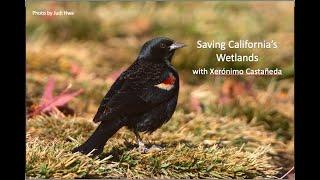 Saving California’s Wetlands with Xerónimo Castañeda, Conservation Project Manager with Audubon CA.