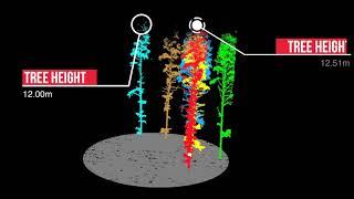 GreenValley International | LiDAR Solutions for Different Industries: Digital Ecosystem