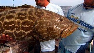 Ocean Fishing for Snapper and Grouper in Dry Tortugas