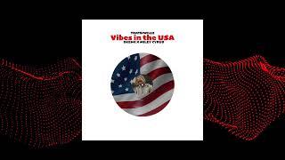 Vibes in the USA: Skeng Meets Miley Cyrus | Epic Dancehall x Pop Mashup by Thatsjwillz