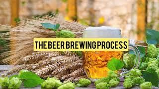 Beer Industry Project 2021 - Group 01