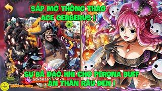 Huyền Thoại Hải Tặc - Sắp Mở Thông Thạo ACE CERBERUS! Sự Bá Đạo Khi Cho PERONA Buff Ẩn Thân Râu Đen!