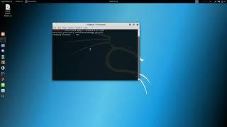 How To Install Discord On Kali Linux 2017 3 noob friendly