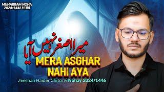 Nohay 2024 | Mera Asghar Nahin Aaya | Zeeshan Haider Chitorvi 2024 | Shehzada Ali Asghar Noha 2024