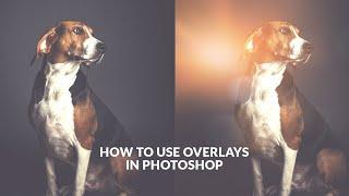 How to use overlays in Photoshop | Photoshop Overlays Tutorial