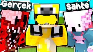 Minecraft'ta HANGİSİ GERÇEK YMİRLP!