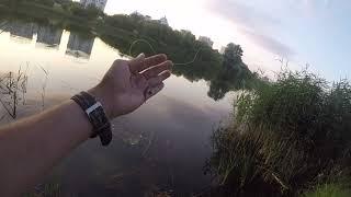 STREET FISHING. Рыбалка на спиннинг на Радужном озере в Киеве 13 июля 2021.