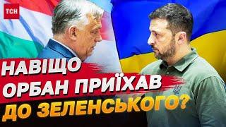 Орбан отямився?! Україна та Угорщина підпишуть глобальну угоду про співпрацю