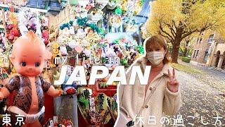 LIVING IN JAPAN | tokyo theme park, traditional torinoichi festival, and fall at tokyo university