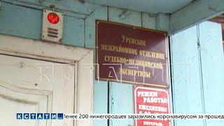 Человеческую ногу, потерянную при транспортировке в морг - нашли в огороде