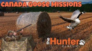 The hunter classic Canada Goose Missions! Канадская Казарка! как выполнить 10 миссию с длинного лука