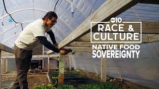 The Native food sovereignty movement: how Indigenous agricultural practices aim to help end hunger