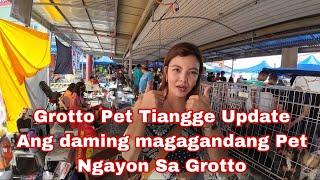 Grotto Pet Tiangge Update Maraming Magagandang Mga Pet Ngayon Sa Grotto Pet Tiangge