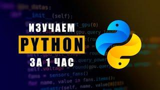  Изучаем Python за 1 час | Bro Proger