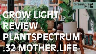 Plantspectrum.32 - Mother