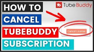 How To Cancel A TubeBuddy Subscription or Free Trial? [in 2024]