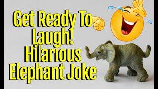 Get Ready To Laugh! Hilarious Elephant Joke