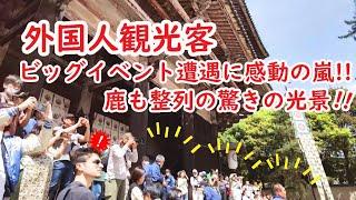 Amaging NARA Park and  World Heritage TODAIJI-Temple Big Festival day Tourist big surprize