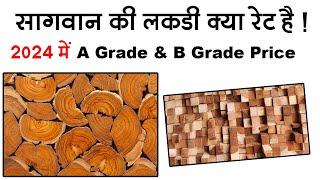 Sagwan Wood Price 2024 || Teak Wood Price in india