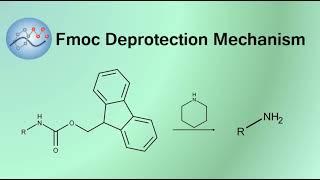 Deprotecting Fmoc Group Mechanism | Organic Chemistry