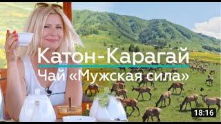 Секреты Катон- Карагайской МУЖСКОЙ СИЛЫ! Life is Food с Еленой Кукеле