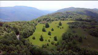 Il prato e il bosco nelle Valli del Natisone