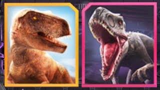 INDOMINUS REX Vs TYRANNOSAURUS REX - Jurassic World Alive