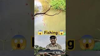 Fishing with stick Fishing video | trending video #shorts  #fyp #4k #viralvideo #fishing #hd #2025