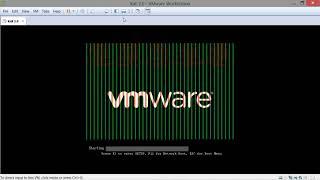 Install Kali Linux 2 0 on VMware + VMware Tools