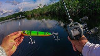 THROWING CRAZY GIANT TOPWATERS FOR HUGE FISH IN THE AMAZON