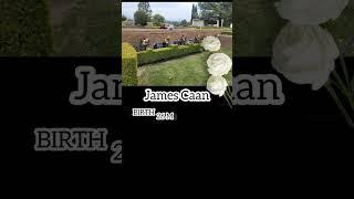 【visit to a grave】James Caan【Famous Memorial】#rip #gravestones