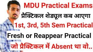 Mdu Practical Exams 2023  || Mdu Practical 2022 || Mdu College Practical Datesheet || #mduexam2022