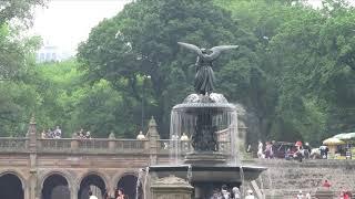 Central Park, New York City Wildlife: The Bethesda Fountain