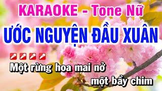 Karaoke Ước Nguyện Đầu Xuân Tone Nữ Nhạc Xuân | Minh Sang Organ