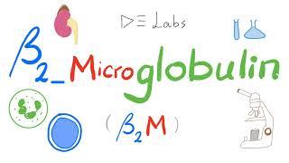 Beta-2 Microglobulin Level (Serum & Urine) | Labs 