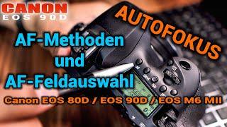  CANON EOS 90D | Autofokus-Methoden | Autofokus-Feldauswahl | Verschiedene Fokusarten auswählen