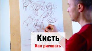 Как рисовать "Кисть" - А. Рыжкин
