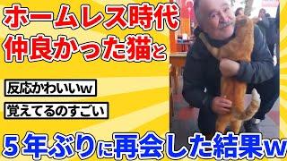 【2ch動物スレ】ホームレス時代に仲良かった野良猫と5年ぶりに再会した結果ｗｗｗｗｗ