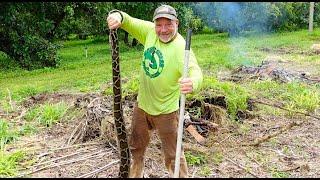 I Found a Burmese Python In My Backyard