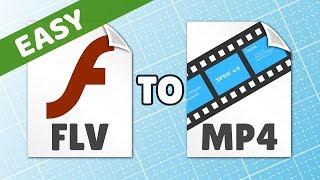 How to Convert FLV to MP4 Easy Tutoial (File format not supported)